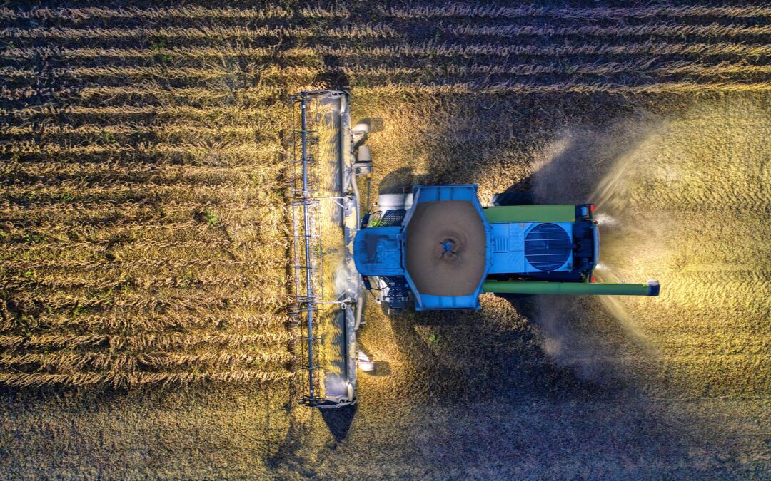 Minerales Esenciales en Declive: El Impacto de la Industrialización Agrícola en la Carencia de Magnesio, Potasio y Zinc en Nuestra Dieta