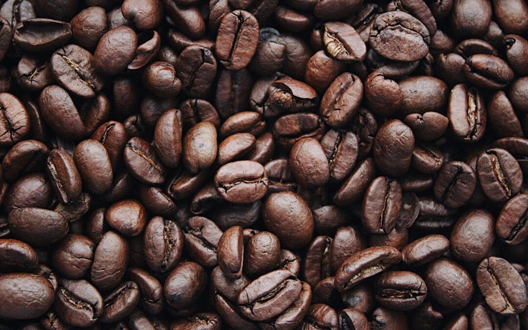 Café: Variedades, Beneficios y la Mejor Hora para Disfrutarlo